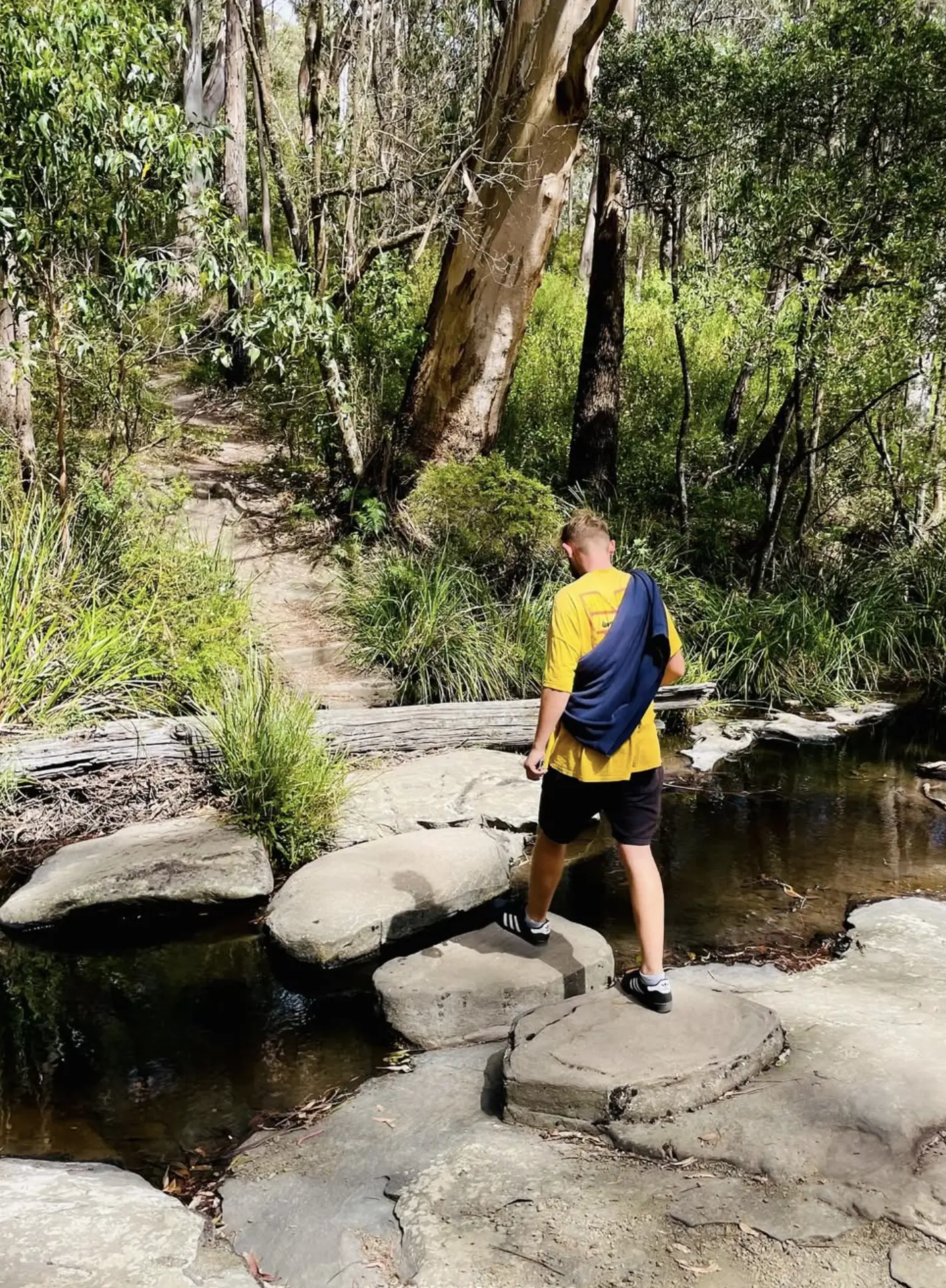 Great Otway National Park