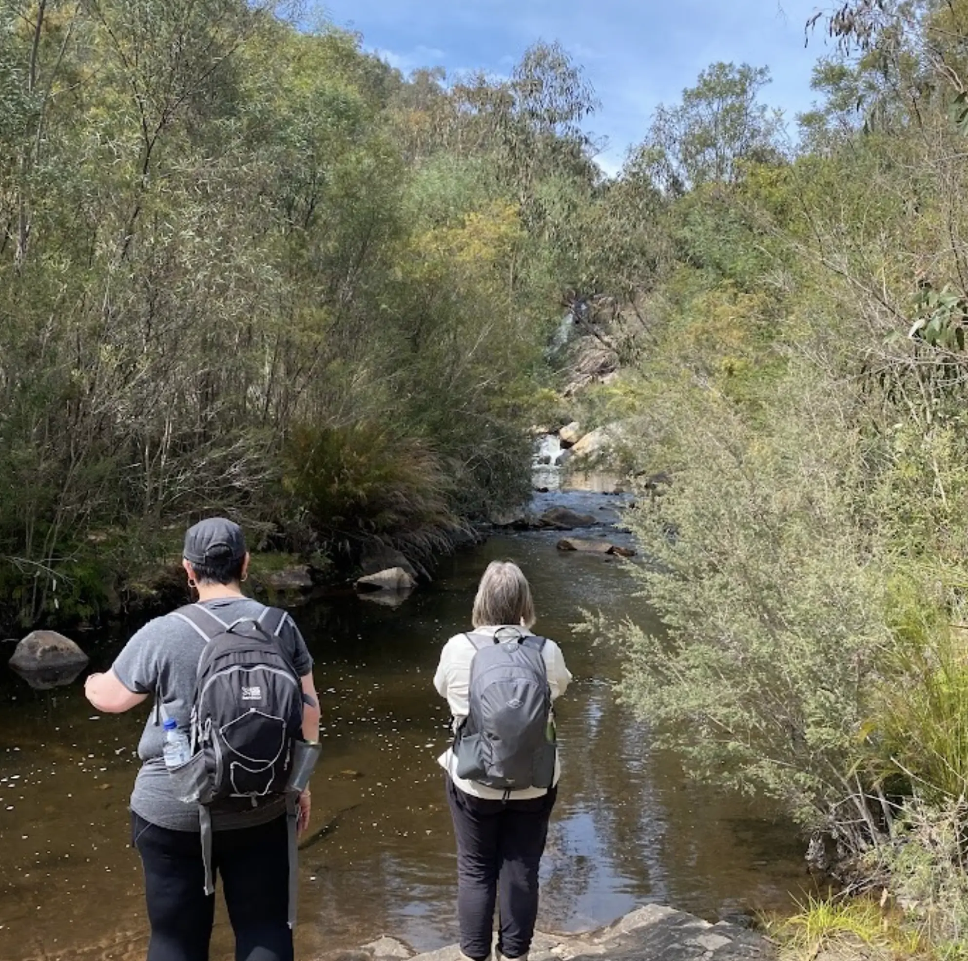 Hiking in Dunkeld